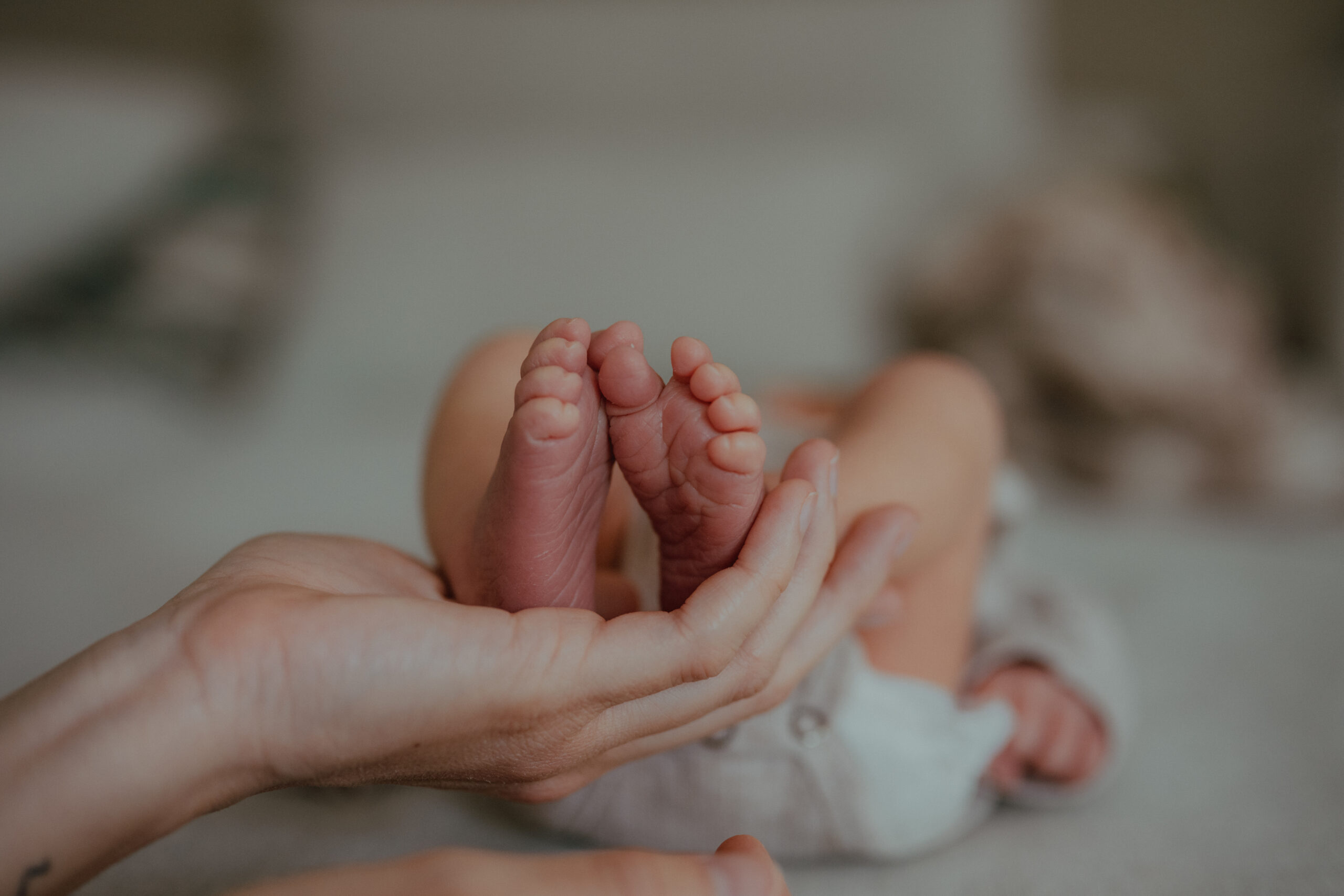 Babyfotografie Rostock
