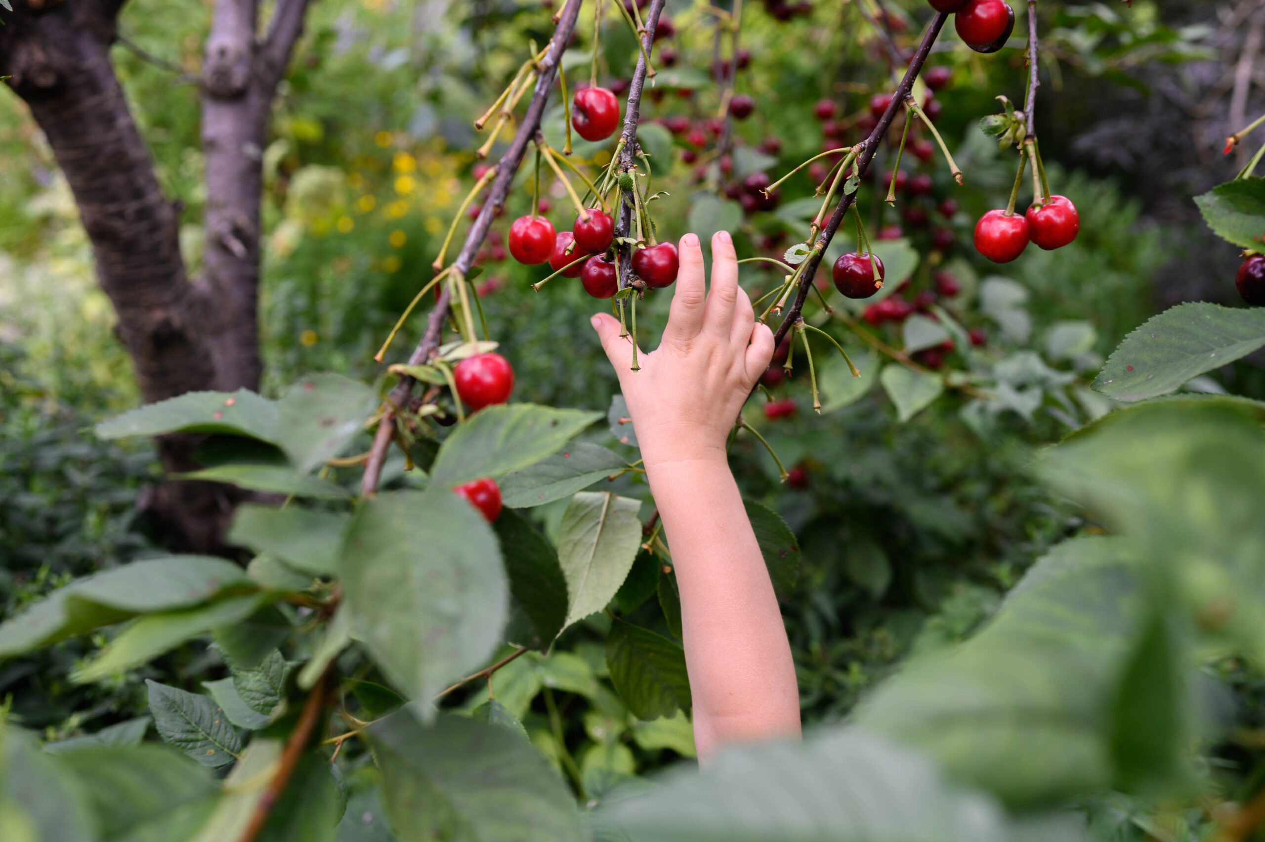 Kamerafotokurs Beispiel Nachher