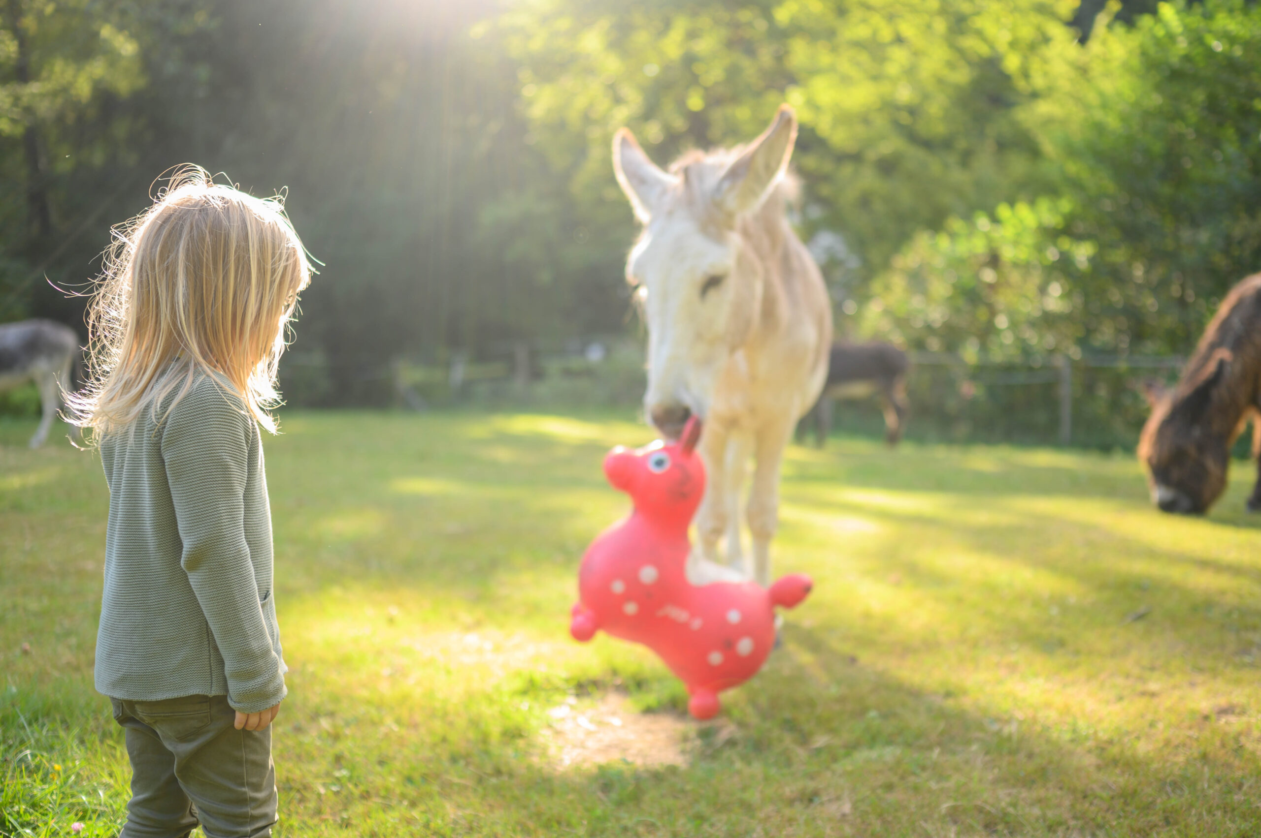 Kamerafotokurs Beispiel Nachher