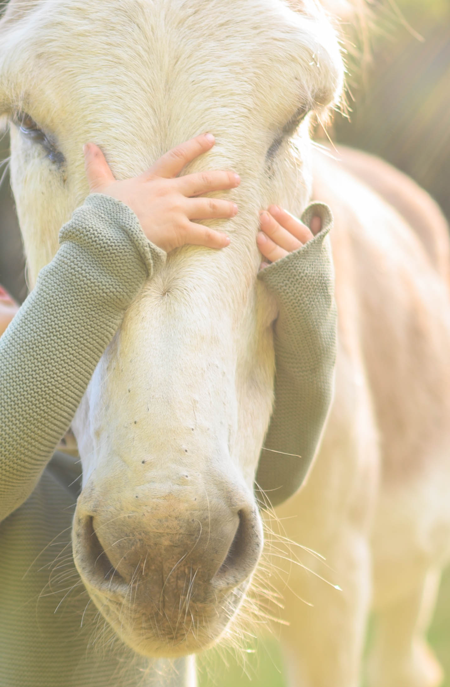 Kamerafotokurs Beispiel Nachher