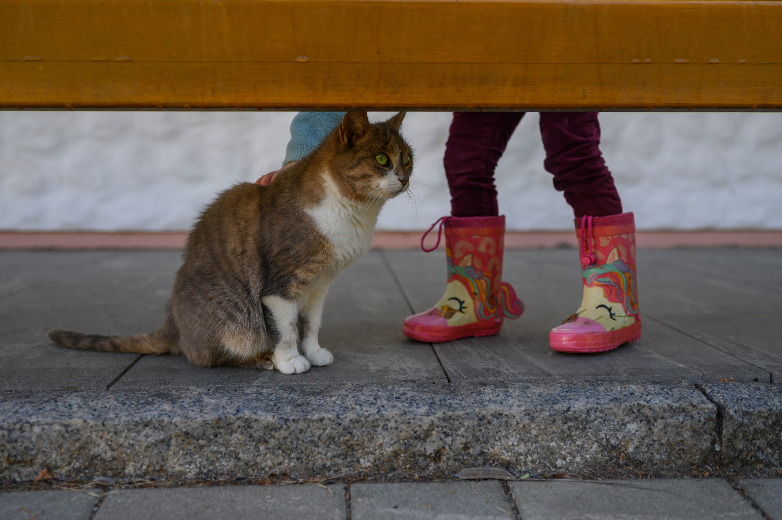 Kamerafotokurs Beispiel Nachher