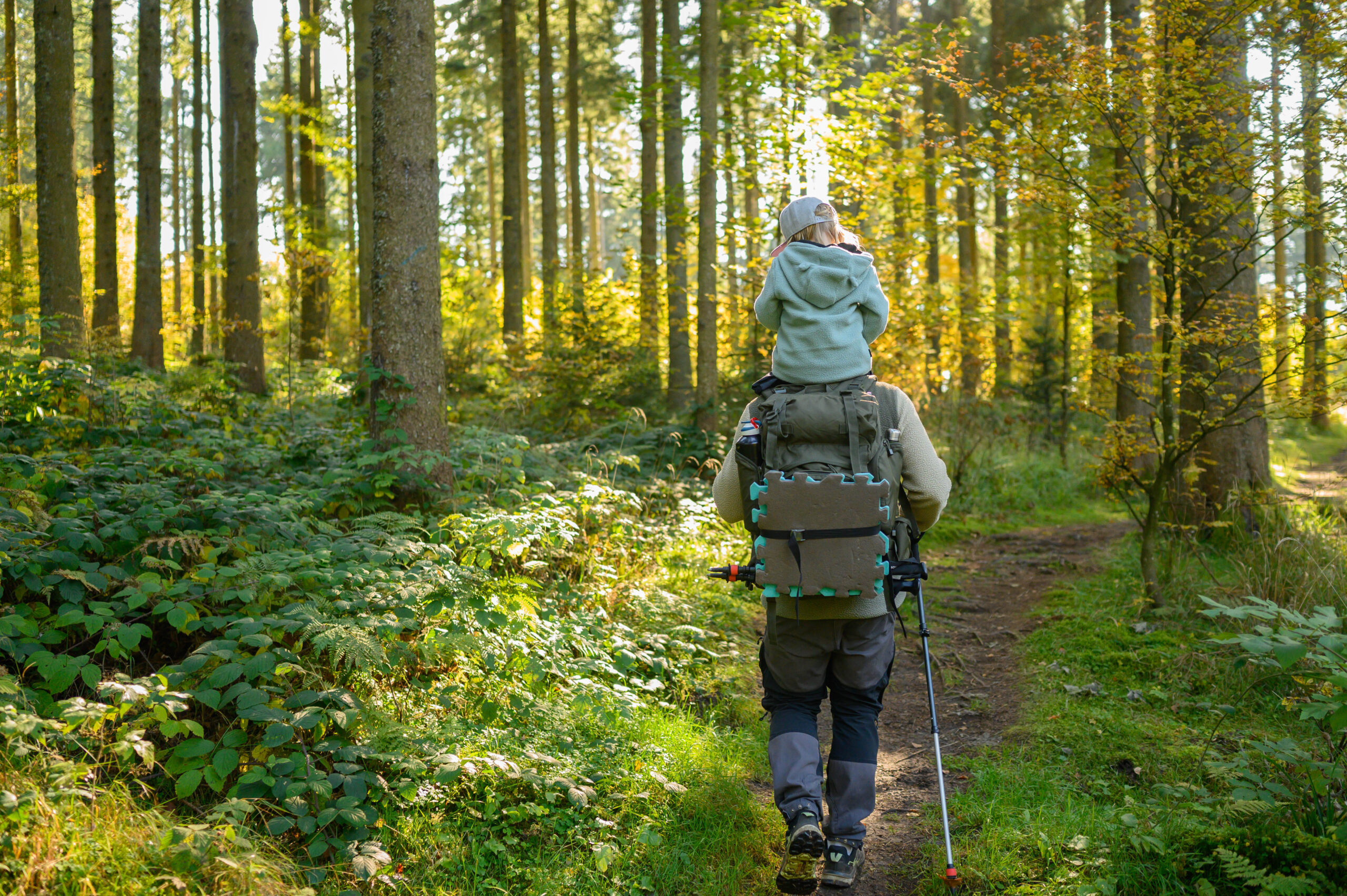 Kamerafotokurs Beispiel Nachher